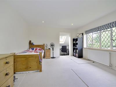 Picture 16